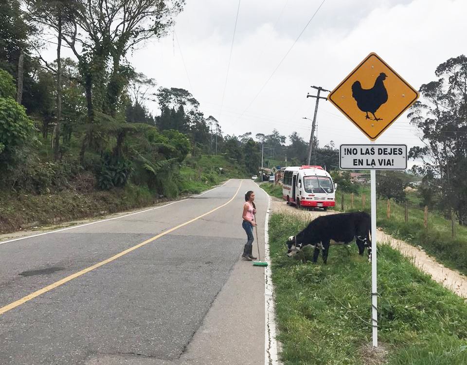 Señal preventiva advirtiendo la presencia de gallinas en la vía y recordando a las comunidades la necesidad de protegerlas de los riesgos viales
